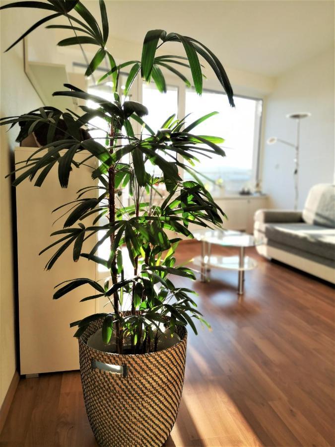 New Apartment With Garage Parking 브르노 외부 사진